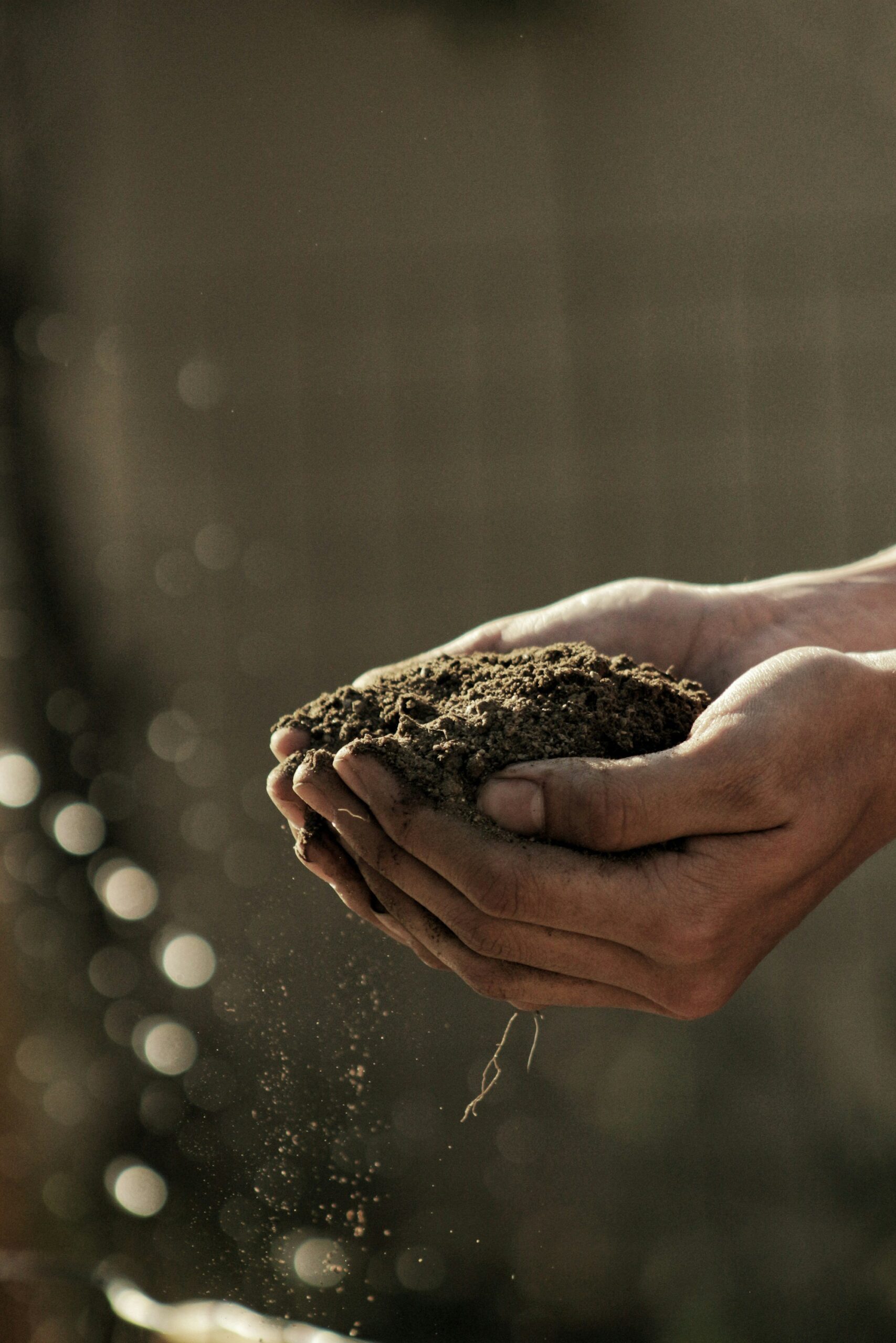 ​12 Eco‑Conscious, Chemical‑Free Lifestyle Hacks for Everyday Wellness cover